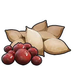 Berry Seeds Icon