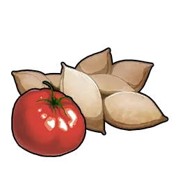 Tomato Seeds Icon